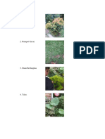 Taman Depan MCD PDF