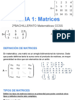 TEMA 1 - Matrices