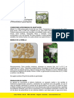 Iguá - Nauno.pdf