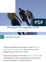 Processos Fundamentais de Cognição Social