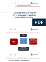 Polizas de RC Apf 2018 Informaci N Relevante PDF