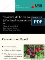 Vassoura de Bruxa