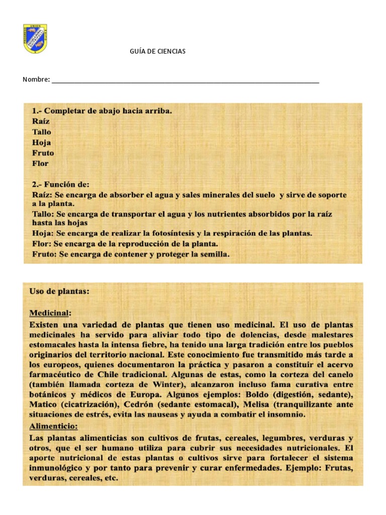 Guía de Ciencias PDF