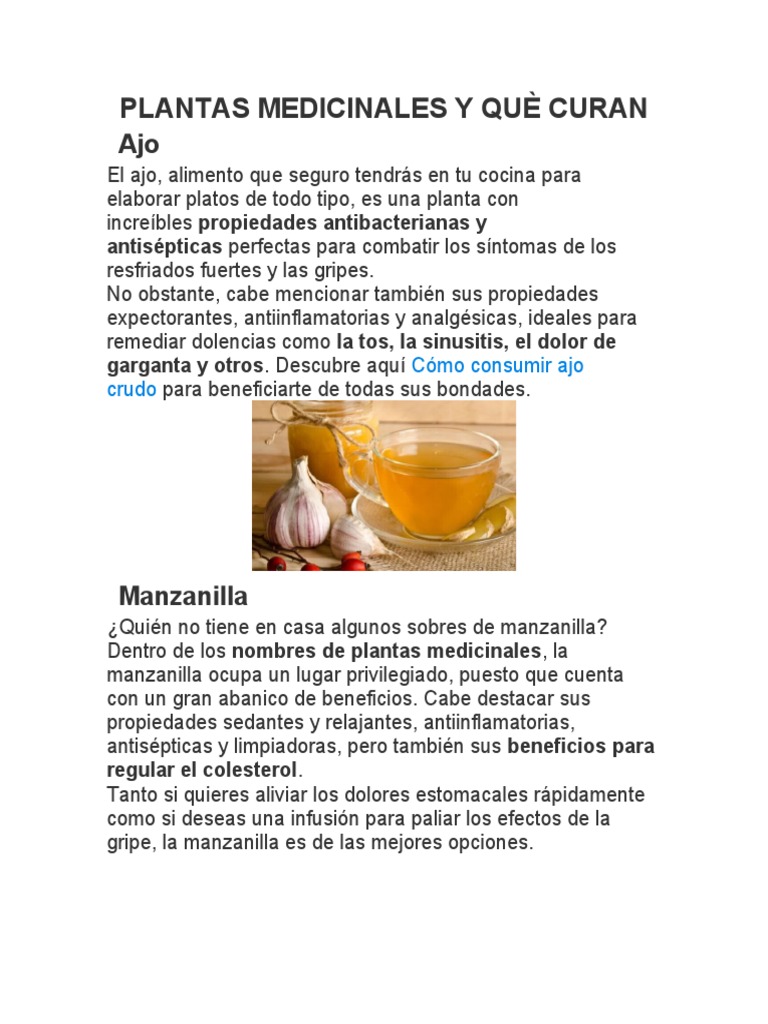 20 Plantas Medicinales y Què Curan PDF Resfriado comun Té