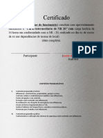 Certificado NR-20 (Intermediario)