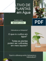 Aula Youtube - Cultivo de Plantas em Água 13 02 23