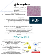 Histo Part 2 PDF