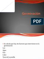 Germinación PDF