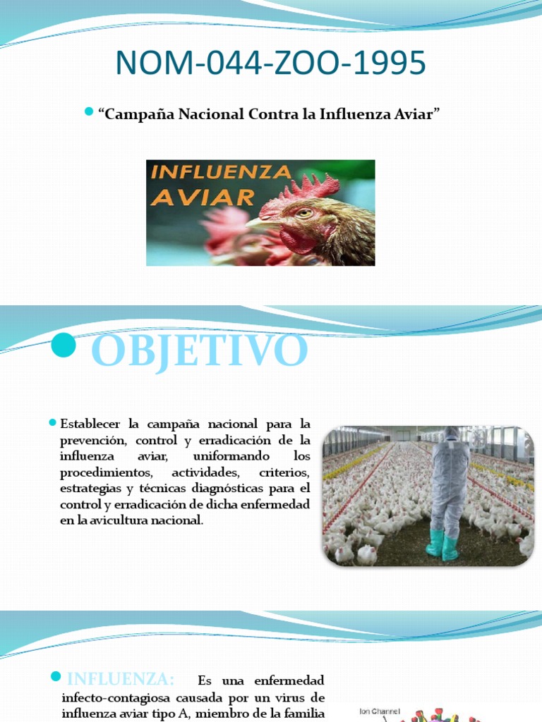 Nom 044 Betsss | PDF