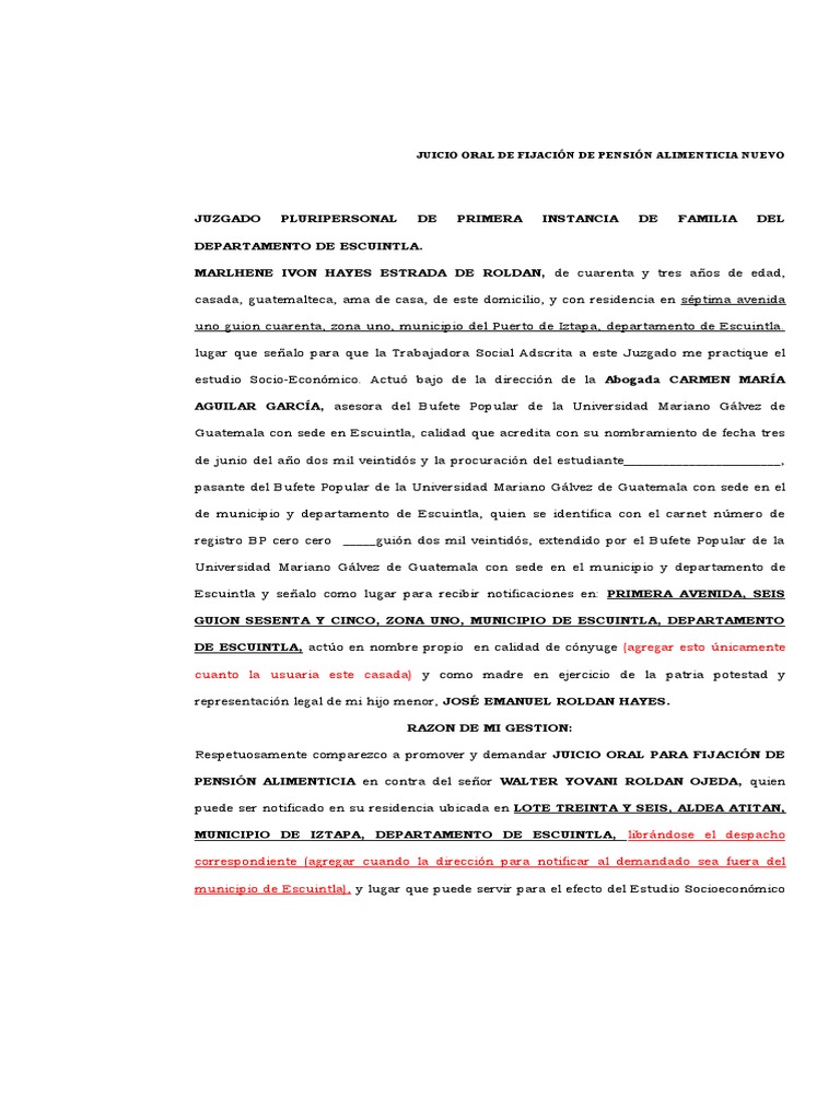Ejemplo Juicio Oral de Alimentos | PDF | Pensión alimenticia | Justicia