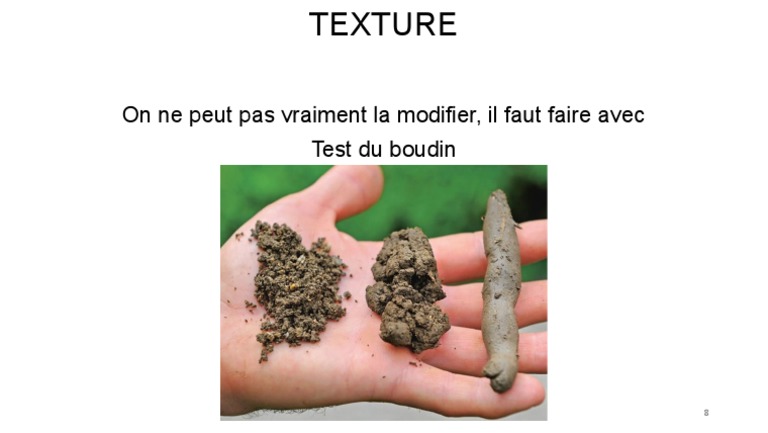 Test de texture du boudin | PDF