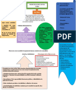 Sociólogo y Economista Político Alemán Max