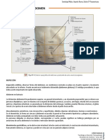 Examen Físico de Abdomen - Corte II PDF