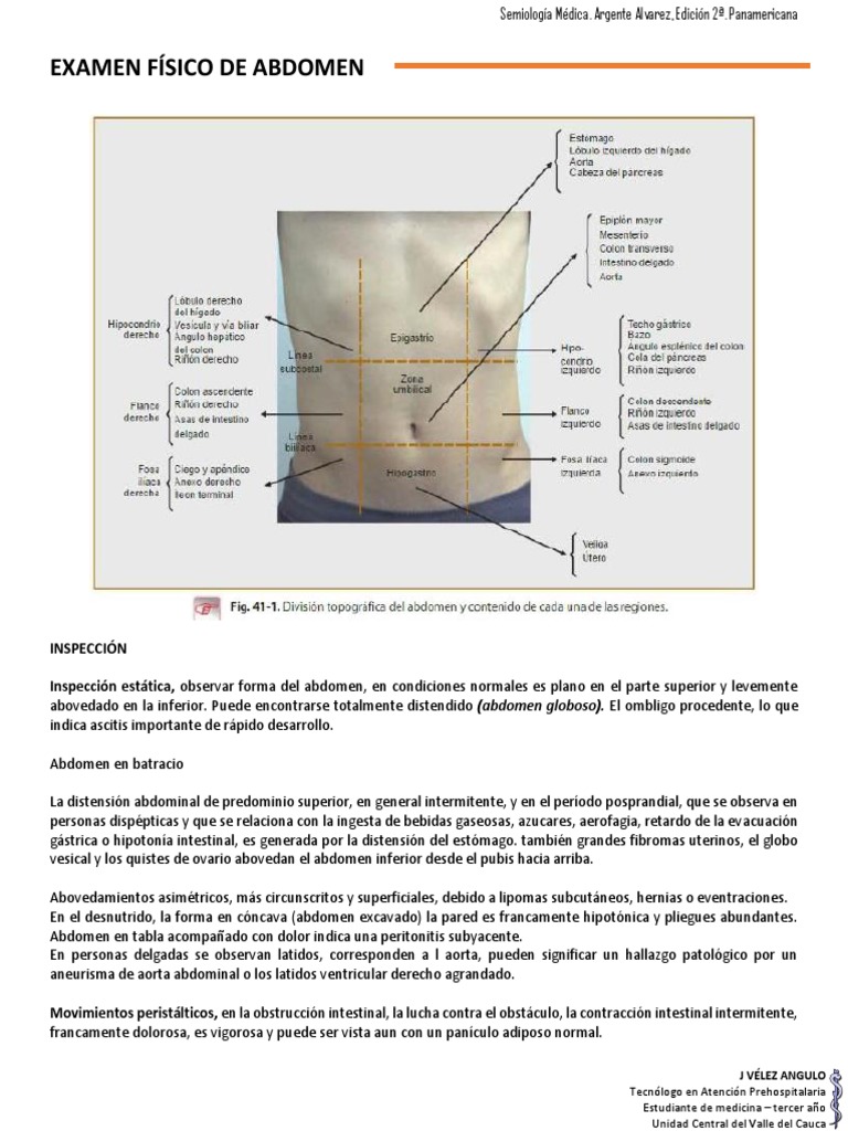 Examen Físico de Abdomen - Corte II PDF | PDF | Abdomen | Vesícula biliar
