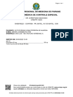 Documento Anexo PDF