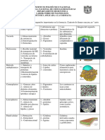 Tarea Celula Castañeda Zepeda