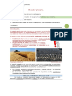 Tema 9. El Sector Primario en España PDF