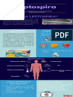 Flyer Leptospira PDF