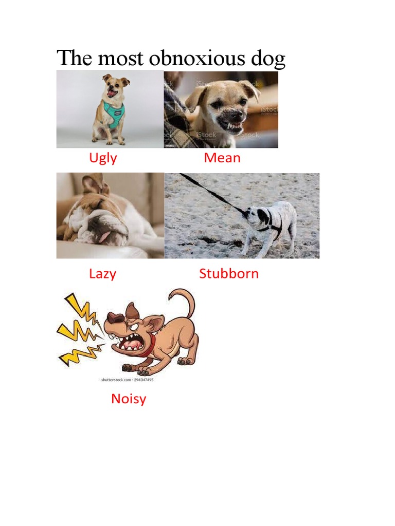 The most obnoxious dog PDF