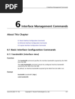 01-06 Interface Management Commands PDF