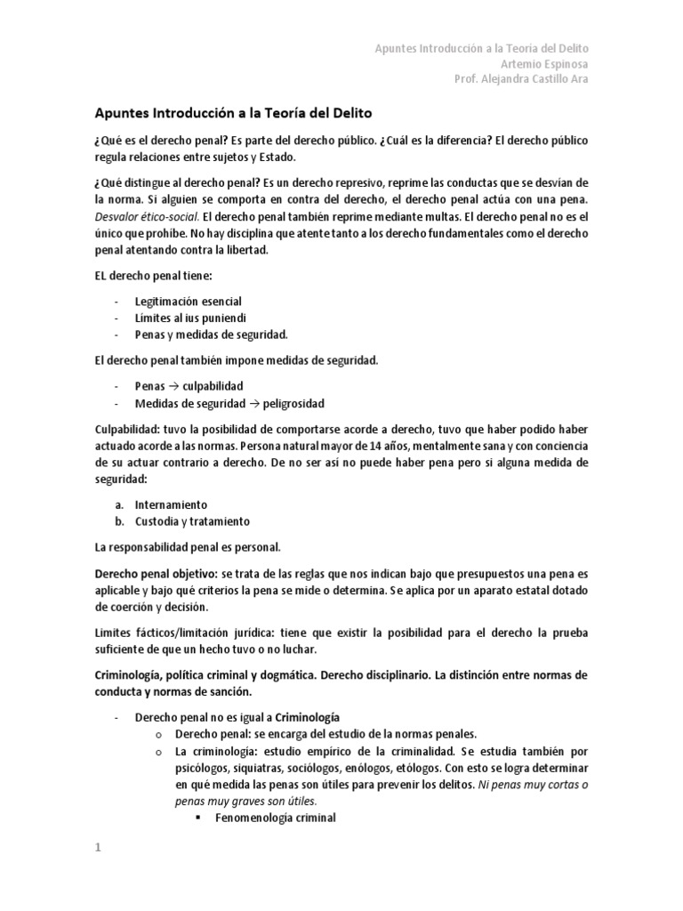 Apuntes Introducción A La Teoría Del Delito | PDF | Derecho penal ...
