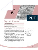 Plantae PDF