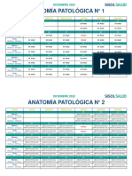 Metrouni PDF