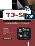Apostila TJ PDF