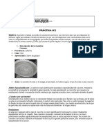 Parcial #2 Cicencia de Los Materiales