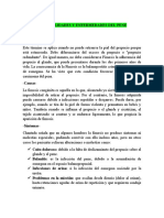 Examen Del Aparato Genital Masculino, Examen Del Periné, Ano y Recto