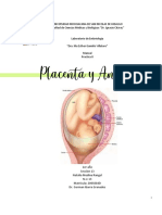 Manual 8 Placenta y Anexos