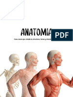1er Cuatrimestre Anatomía - 091347