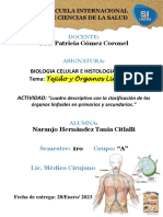 Act - Organos Linfoides - Citlalli Naranjo - 1A