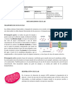 Sexto Semana 4 y 5