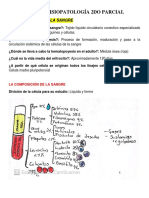 Guía de Fisiopatología 2do Parcial