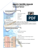 Curriculum-Vitae-Pedro-Triviño Trabajo