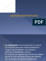 Biologia II - Sistema Respiratorio