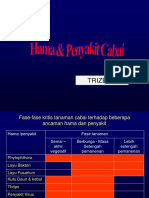 Hama Dan Penyakit Cabai (PDFDrive)