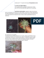 Documento Sin Título PDF