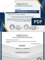 Fiscalizacion Ambiental - Fatima