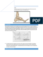 MSK A3