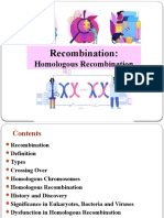 Lecture Recombination - Homologous Recombination (Final)