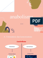 Anabolismee