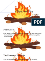 The Nature of Fire 