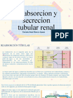 5.reabsorcion y Secrecion Tubularrenal