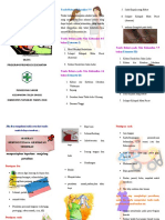 Leaflet Tanda Bahaya Dan Persiapan Persalinan