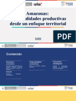 Ceplan - Amazonas - Potencialidades Productivas - Ago2022