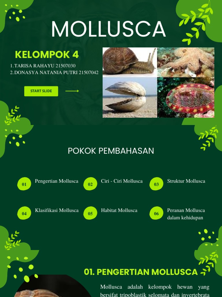 Pengertian dan Klasifikasi Mollusca | PDF | Ilmu Sosial | Griya & Taman
