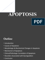 APOPTOSIS