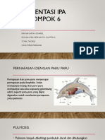 Presentasi Pernapasan Ikan PDF